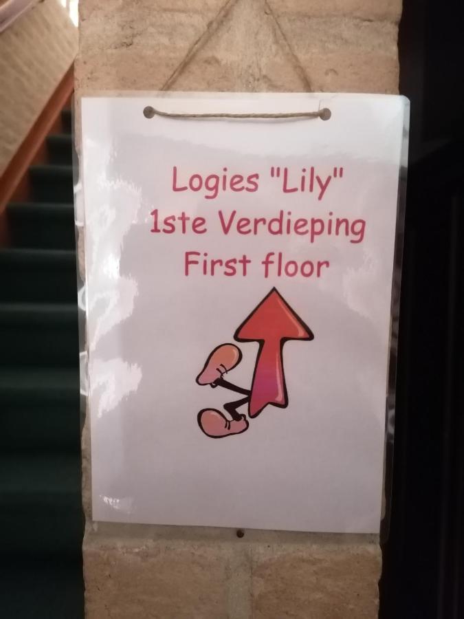 Logies Lily Apartment Oudenburg Ngoại thất bức ảnh