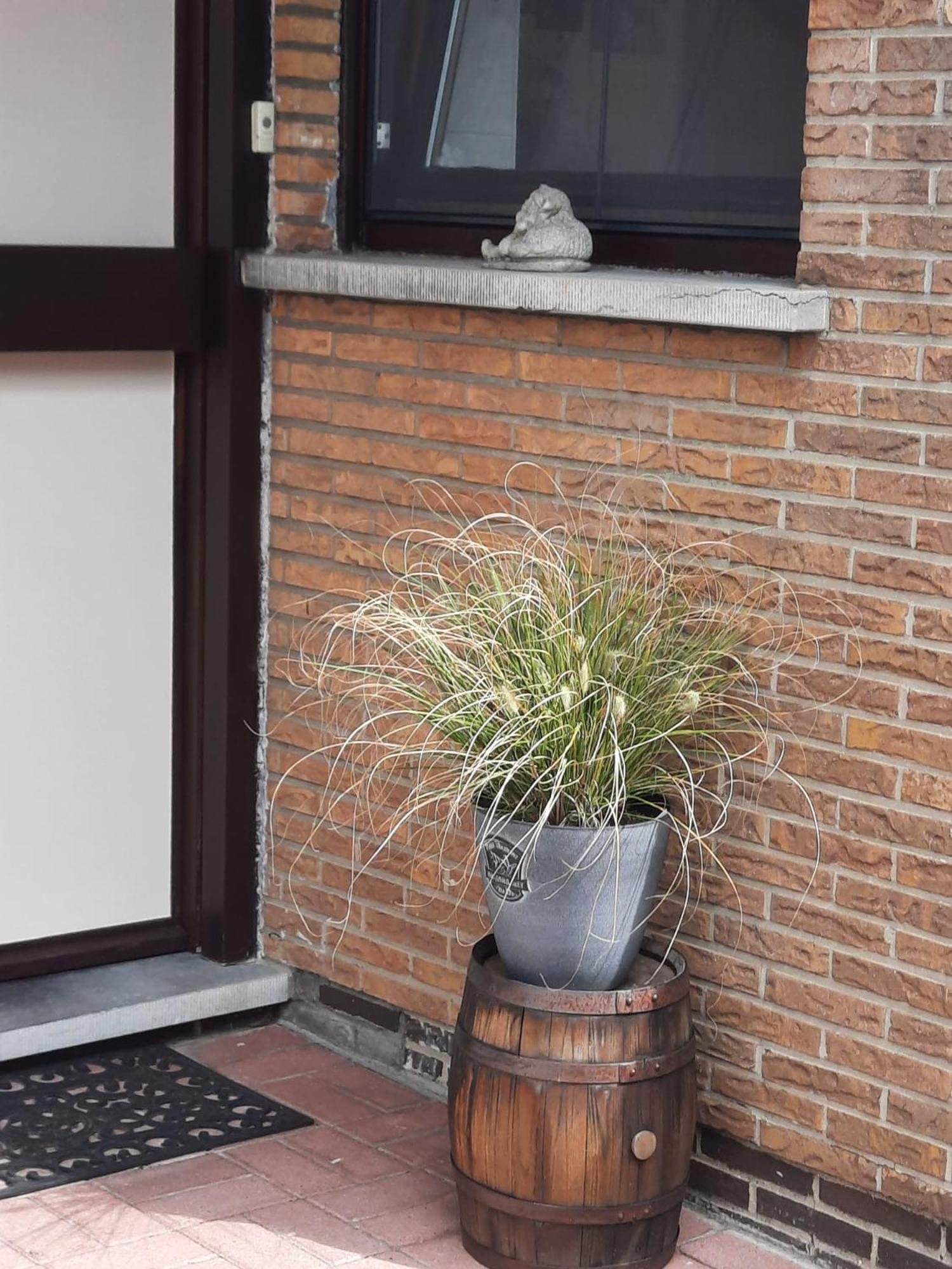 Logies Lily Apartment Oudenburg Ngoại thất bức ảnh